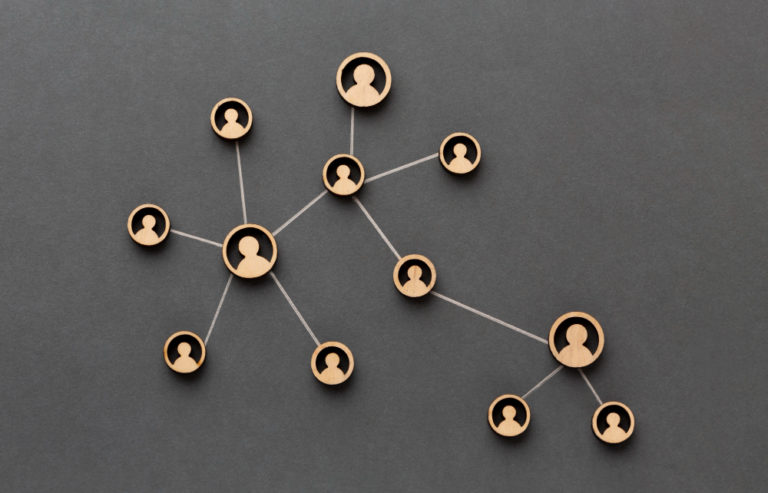 Lumière sur notre partenaire Asinta